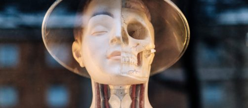 Are humans turning into a different species? (Image via Samuel Zeller/Unsplash)