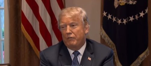 Trump thinks he can fire Mueller - Image credit - MSNBC | YouTube