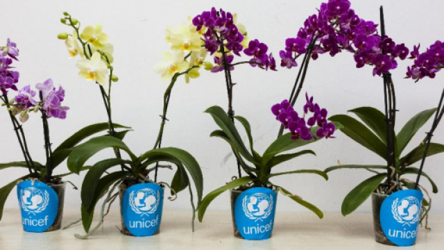 Il 21e 22 aprile 2018 UNICEF ha raccolto i fondi a sostegno dei "Bambini Sperduti" vittime di violenze, conflitti, povert&agrave; e calamit&agrave;. (Foto:web)