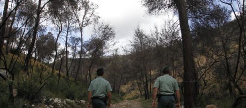 Detenido por tener relaciones sexuales con dos yeguas