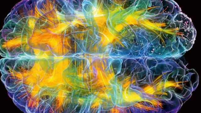 Fisica quantistica, Cervello e Coscienza &ndash; Fisica Quantistica e ... - fisicaquantistica.it