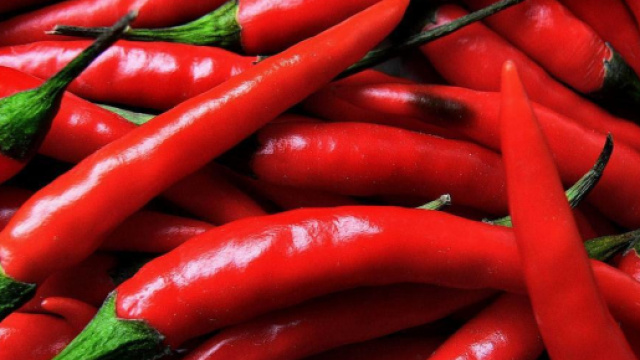 Peperoncino piccante: uomo in pericolo di vita per aver mangiato il Carolina reaper