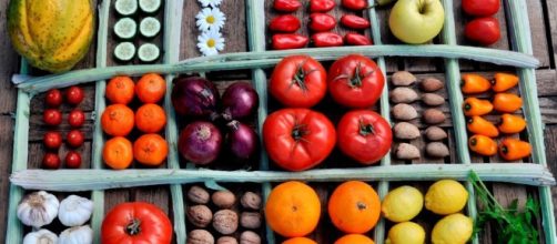 Mitos y verdades de los divert&iacute;culos - clarin.com