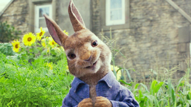 Trailer du film Pierre Lapin - Pierre Lapin Bande-annonce (3) VF ... - allocine.fr