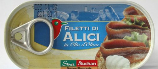Canned fillets of Anchovies (Image credit &ndash; AlMare, Wikimedia Commons)