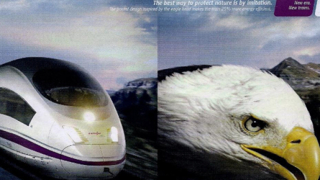 Op&eacute;rationaliser les acquis de la r&eacute;volution bio&eacute;conomique : le ... - wordpress.com