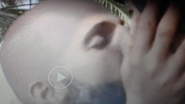 Vincitore l'Isola dei famosi 2018