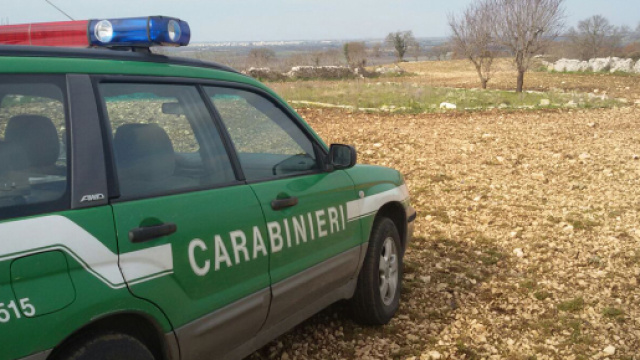 Concorso guardia forestale e parco nazionale