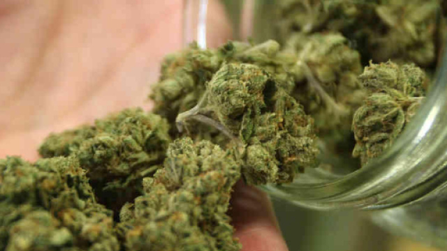 Questions About Medical Marijuana In Arkansas After AG Action | KUAR - ualrpublicradio.org