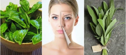 Hierbas que te ayudar&aacute;n a combatir el acn&eacute; de forma natural