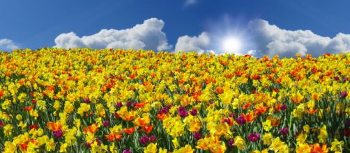 Junto a la primavera llega la rinitis, &iquest;sabes c&oacute;mo tratarla?