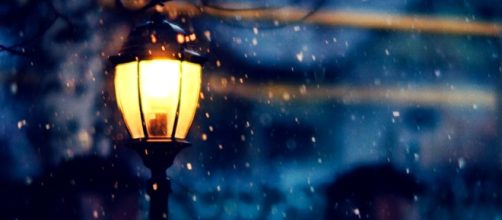 Solitude. - [ChilloutDeer / YouTube screencap]