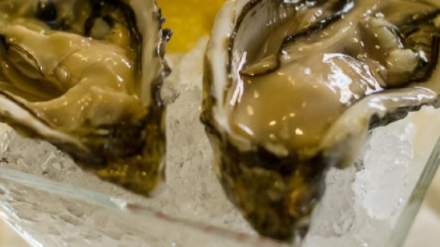 Allarme ostriche contaminate da parte del Ministero della Salute