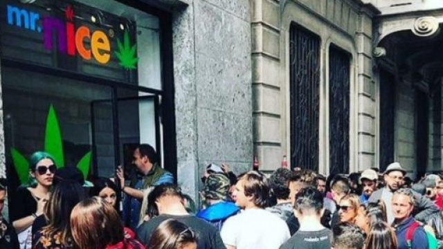 Il negozio di marjuana di J-Ax in via Bertini a Milano, l'unico in cui la sostanza sia venduta legalmente.