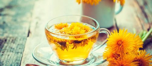 Conocen cu&aacute;les son los beneficios del diente de le&oacute;n