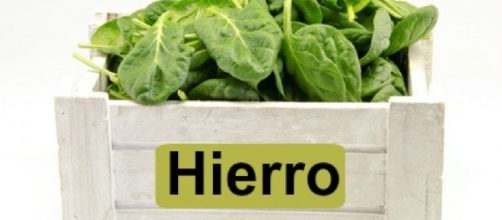 Cu&aacute;les son los alimentos m&aacute;s ricos en hierro? - pharma20.es