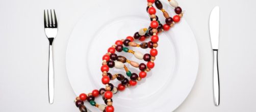 Los nuevos alimentos del futuro