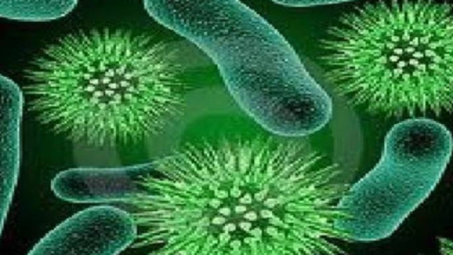 Epidemia di ulcera in Australia, la situazione