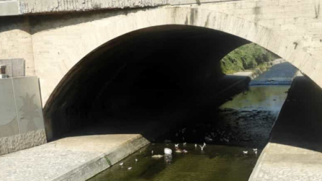 Fiume Irno, galleggiano rifiuti: la segnalazione dei cittadini - salernotoday.it