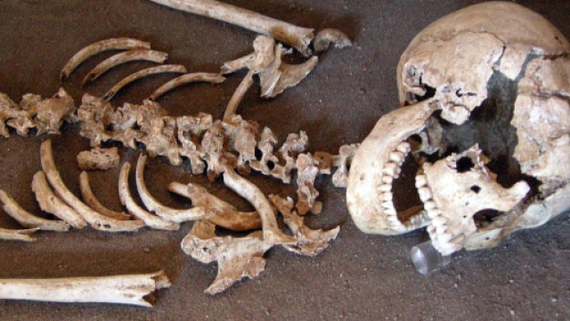 Scheletro trovato in ex area ferroviaria - Tuttosport - tuttosport.com