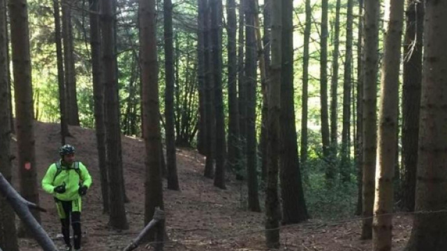 &ldquo;trappole&rdquo; per le mountain bike nei boschi di Pollino. foto - lastampa.it