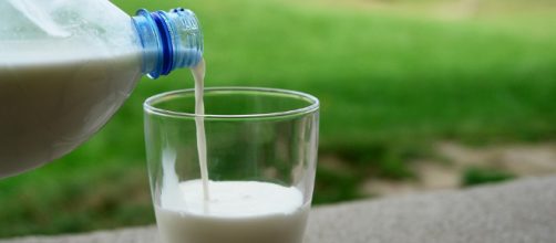 7 alimentos con m&aacute;s calcio que un vaso de leche - El Blog de Gama ... - gamanatural.com