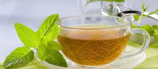 Descubre los beneficios de la menta para tu salud .