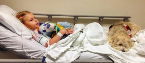 JJ e KK: melhores amigas (Reprodu&ccedil;&atilde;o)