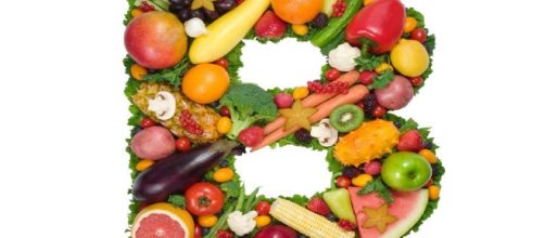 La Vitamina B y tu perro - nutricionistadeperros.com