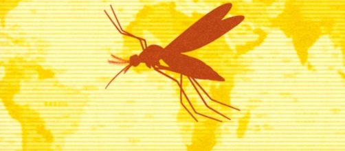 Si vas a viajar es bueno que conozcas y sepas sobre esta enfermedad y sus s&iacute;ntomas