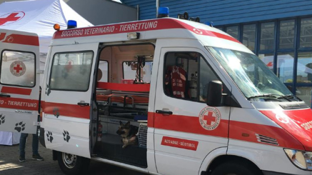 50 arresti cardiaci in soli 6 giorni: donna salva per miracolo