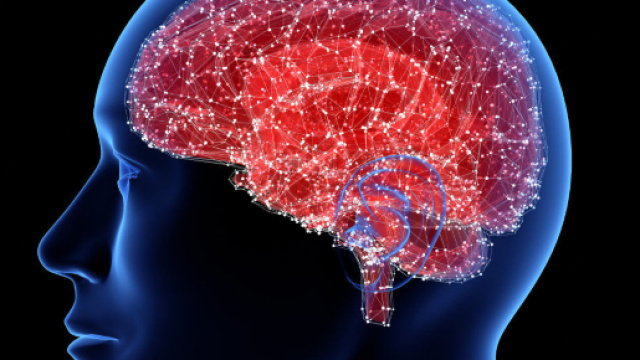 Trovata la "culla" della schizofrenia