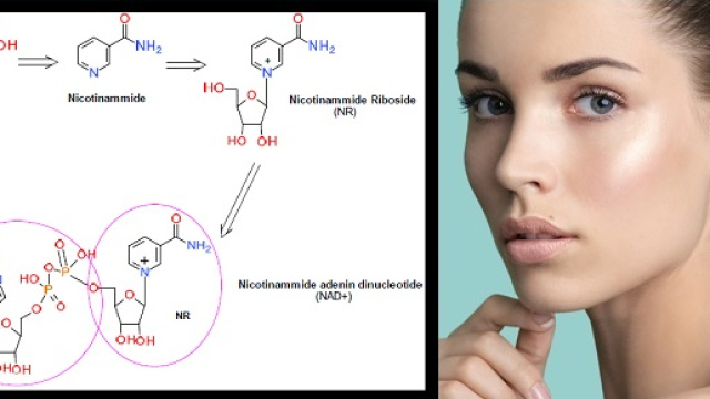 Una integrazione quotidiana di nicotinamide riboside (NR) pu&ograve; portare indietro le lancette dell&rsquo;orologio dell&rsquo;organismo