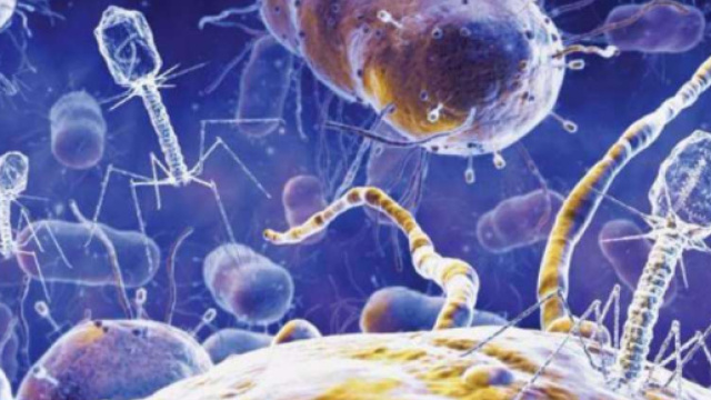 virale o batterica? Test sangue lo svela - mobinews.it