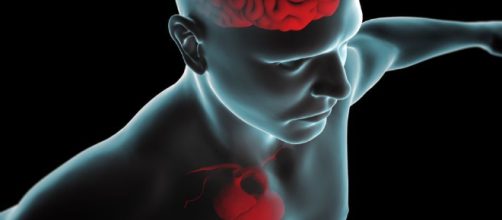 La estimulaci&oacute;n de la mente y el cuerpo puede mejorar tu descendencia