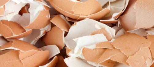 Usos que puedes darle a los cascarones de huevos