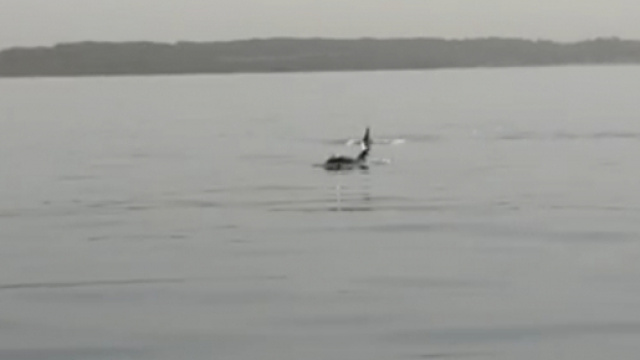 Bellissima visione nel Salento: il video