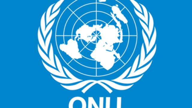 Organizzazione delle Nazioni Unite