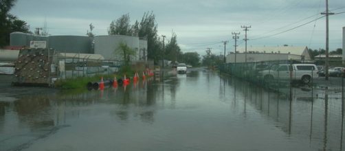 Amala Place flooded in Maui, Kanaha Beach (Image credit: Forest & Kim Starr/Wikimedia Commons)