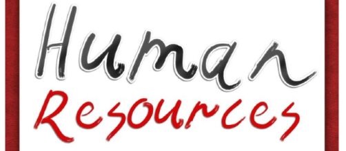 Developing Bold HR - Imgae credit - Public Domain | Pixabay