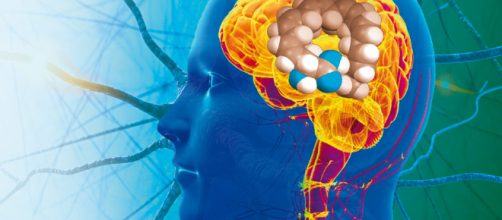 Los investigadores han estado tratando de averiguar si se producen nuevas c&eacute;lulas en adultos humanos: finalmente estudio lo excluye