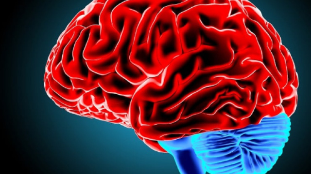 Trovata nel cervello la culla della schizofrenia - improntaunika.it