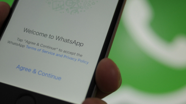 WhatsApp, molti di voi stanno violando le linee guida senza saperlo