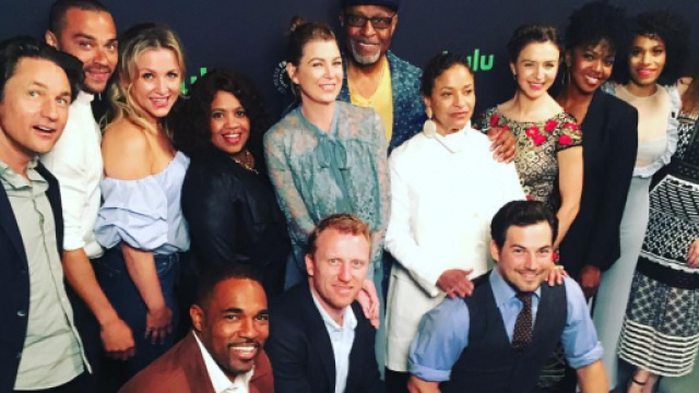 Il cast di Grey's Anatomy FONTE: Google