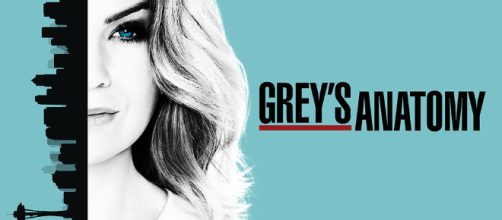 Grey's Anatomy siguen saliendo personajes importantes de la serie