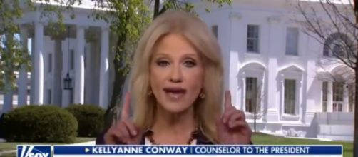 Kellyanne Conway on Fox News, via Twitter