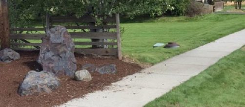 Yard. - [Image via Ryan DeVault]