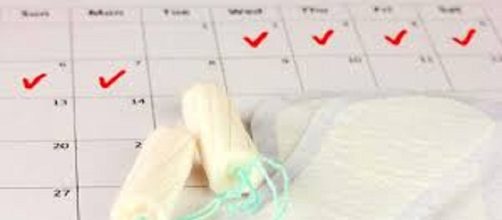 El ciclo menstrual proceso fisiol&oacute;gico del aparato repreductor femenino