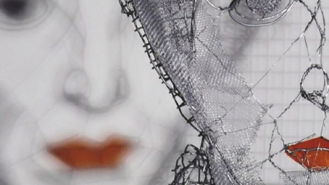 "Hannah Arendt", ombra da rete metallica,rete, 2009, cm 125x80x8