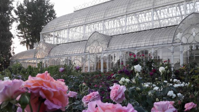 Mostra fiori e piante Firenze 2018 al Giardino dell'Orticoltura - societatoscanaorticultura.it